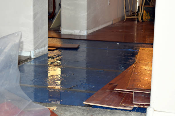 Professional Basement Flood Cleanup technician working in Byesville, OH